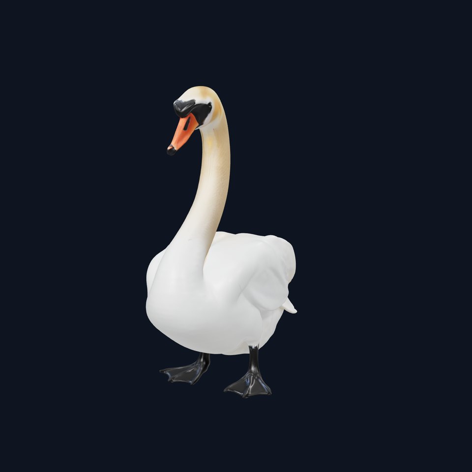 Elegant Swan D Model Pack for Detailed Rendering